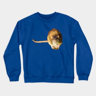 Got some food Mate? Crewneck Sweatshirt